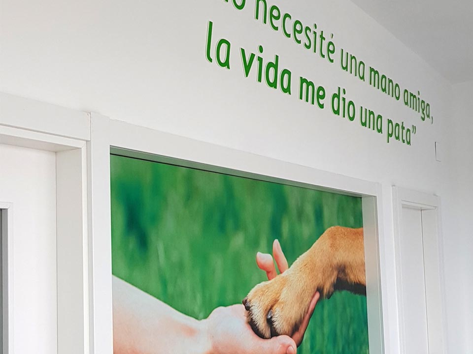 Clínica Veterinaria Sananton